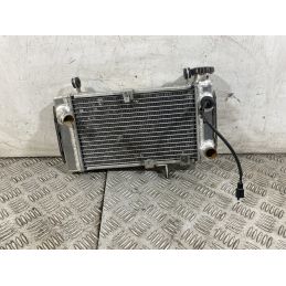 Radiatore Suzuki SV 650 Dal 1999 Al 2002  1760085946653