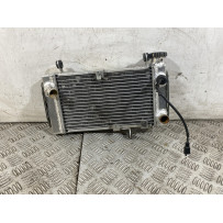 Radiatore Suzuki SV 650 Dal 1999 Al 2002  1760085946653