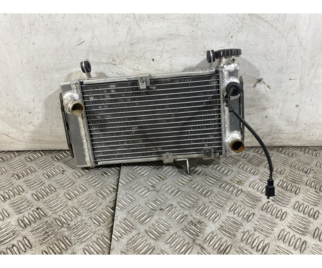 Radiatore Suzuki SV 650 Dal 1999 Al 2002  1760085946653