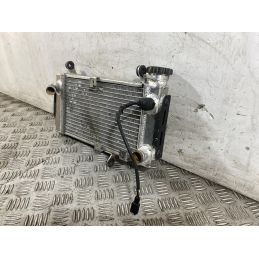 Radiatore Suzuki SV 650 Dal 1999 Al 2002  1760085946653