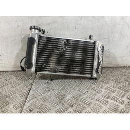 Radiatore Suzuki SV 650 Dal 1999 Al 2002  1760085946653