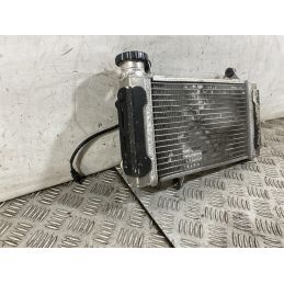 Radiatore Suzuki SV 650 Dal 1999 Al 2002  1760085946653