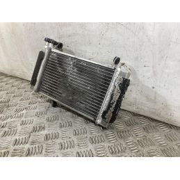 Radiatore Suzuki SV 650 Dal 1999 Al 2002  1760085946653