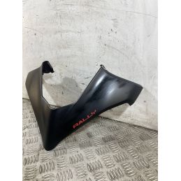 Carena Scudetto Anteriore Ducati Multistrada V4 Rally Dal 2023 Al 2025  1760108202483