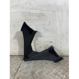 Carena Scudetto Anteriore Ducati Multistrada V4 Rally Dal 2023 Al 2025  1760108202483