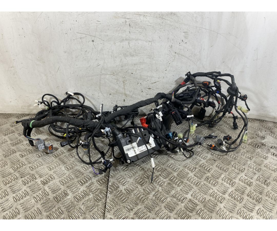 Cablaggio Impianto Elettrico Ducati Multistrada V4 Rally Dal 2023 Al 2025  1760360713390