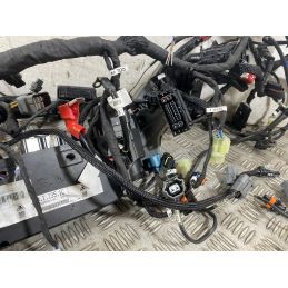Cablaggio Impianto Elettrico Ducati Multistrada V4 Rally Dal 2023 Al 2025  1760360713390