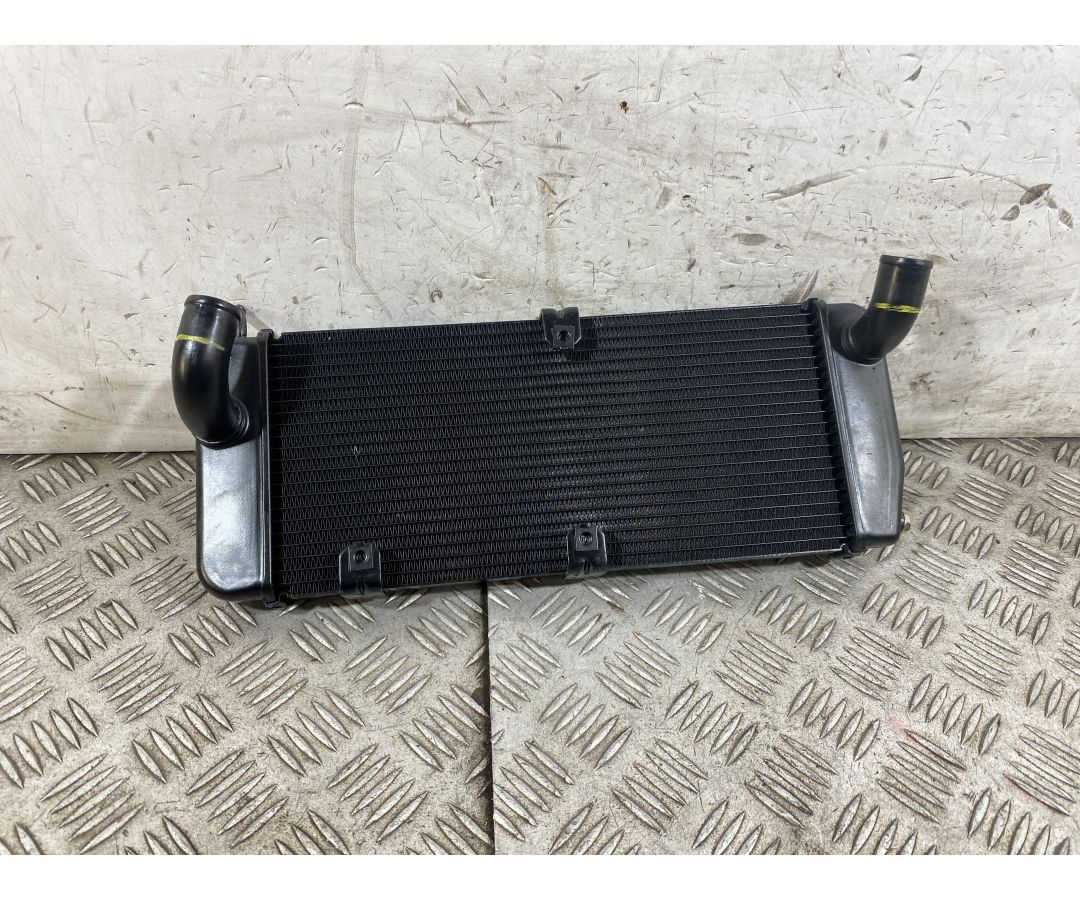 Radiatore Ducati Multistrada V4 Rally Dal 2023 Al 2025  1760367188405