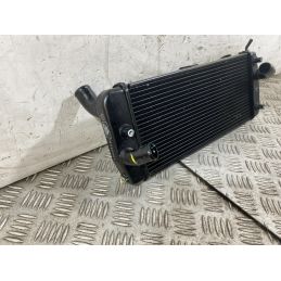 Radiatore Ducati Multistrada V4 Rally Dal 2023 Al 2025  1760367188405
