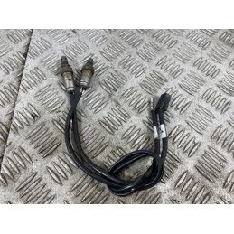 Coppia Sonde Lambda Anteriori Ducati Multistrada V4 Rally Dal 2023 Al 2025  1760431770277