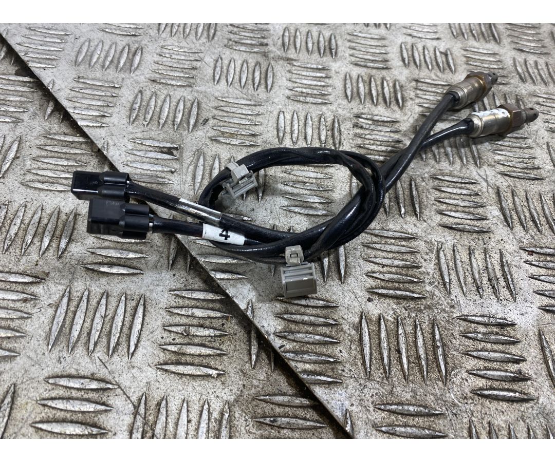 Coppia Sonde Lambda Posteriori Ducati Multistrada V4 Rally Dal 2023 Al 2025  1760432130698