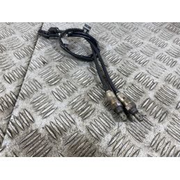 Coppia Sonde Lambda Posteriori Ducati Multistrada V4 Rally Dal 2023 Al 2025  1760432130698