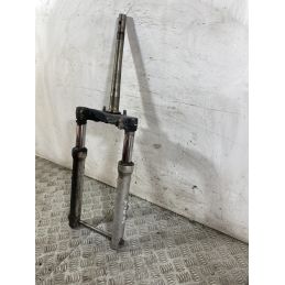 Forcella Honda SH 125 / 150 Dal 2005 al 2008  1760530639109