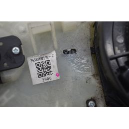 Devioluci Completo Renault Scenic X-MOD Dal 2009 al 2013 Cod 255670019R--C  1760944144091