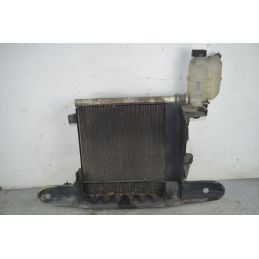 Radiatore Acqua Smart ForTwo W450 Dal 1998 AL 2004 Cod 0003436V007  1760955482373