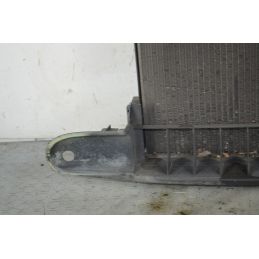 Radiatore Acqua Smart ForTwo W450 Dal 1998 AL 2004 Cod 0003436V007  1760955482373