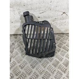 Carena Griglia Radiatore SYM Jet 14 CBS LC Dal 2021 Al 2024  1761215517828