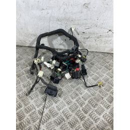 Cablaggio Impianto Elettrico Keeway Motor V302 C Dal 2022 Al 2025  1761301109494