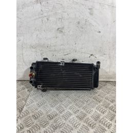 Radiatore Acqua Keeway Motor V302 C Dal 2022 Al 2025  1761317612438