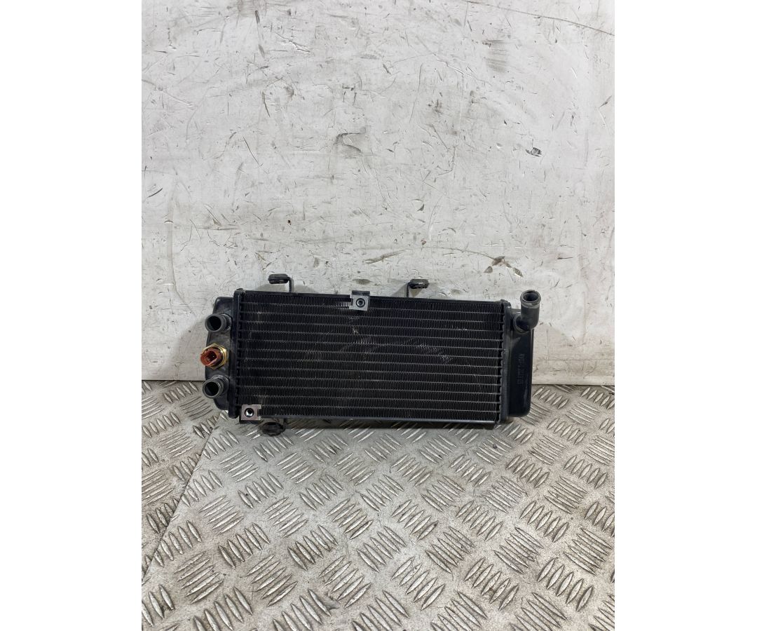 Radiatore Acqua Keeway Motor V302 C Dal 2022 Al 2025  1761317612438