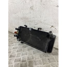 Radiatore Acqua Keeway Motor V302 C Dal 2022 Al 2025  1761317612438