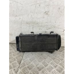 Radiatore Acqua Keeway Motor V302 C Dal 2022 Al 2025  1761317612438