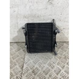 Radiatore Acqua Aprilia SR 50 2t dal 2007 al 2017  1761581049718
