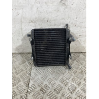 Radiatore Acqua Aprilia SR 50 2t dal 2007 al 2017  1761581049718