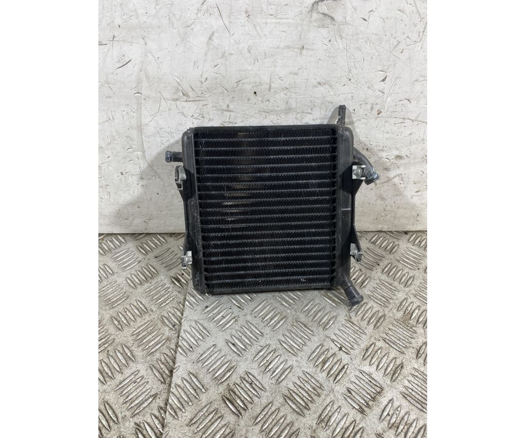 Radiatore Acqua Aprilia SR 50 2t dal 2007 al 2017  1761581049718