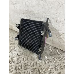 Radiatore Acqua Aprilia SR 50 2t dal 2007 al 2017  1761581049718