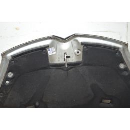 Cofano anteriore Citroen C4 Picasso Dal 2006 al 2013 Cod 7901N7  1761639391844