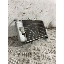 Radiatore Acqua Piaggio NRG 50 Dal 2017 al 2020  1761664131941