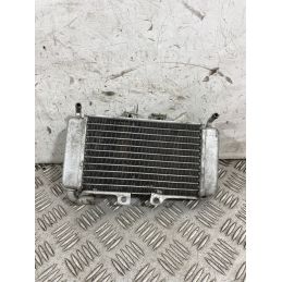 Radiatore Acqua Piaggio NRG 50 Dal 2017 al 2020  1761664131941