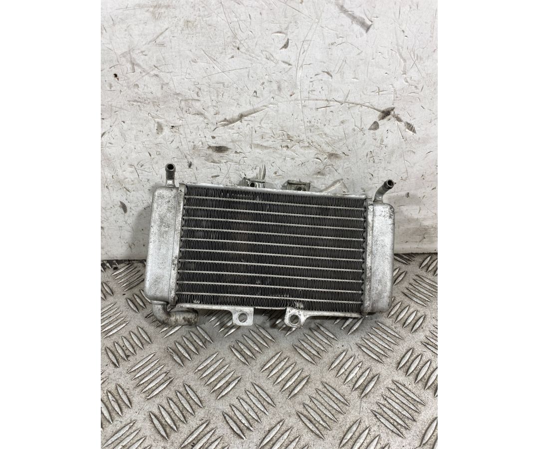 Radiatore Acqua Piaggio NRG 50 Dal 2017 al 2020  1761664131941