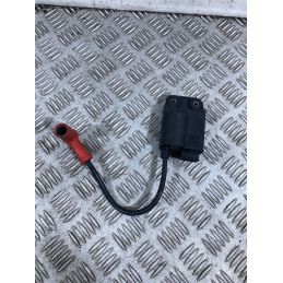 Bobina Accensione Piaggio NRG 50 Dal 2017 al 2020  1761666391237