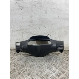 Carena Portastrumentazione Piaggio NRG 50 Dal 2017 al 2020  1761729775226