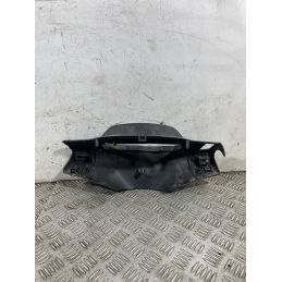 Carena Portastrumentazione Piaggio NRG 50 Dal 2017 al 2020  1761729775226