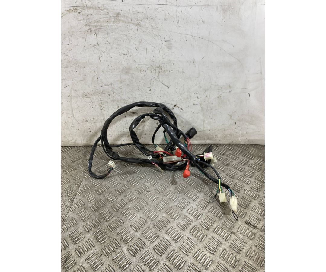 Cablaggio Impianto Elettrico Garelli VIP 50 4T Dal 2006 Al 2007  1761841014944