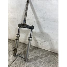 Forcella Honda SH 150 Dal 2001 al 2004  1761901151800