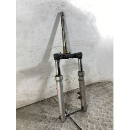 Forcella Honda SH 150 Dal 2005 Al 2008  1761907539770