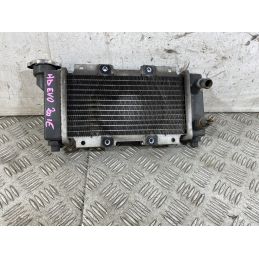 Radiatore Sym HD EVO 200 dal 2011 al 2016  1762160934388