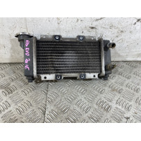 Radiatore Sym HD EVO 200 dal 2011 al 2016  1762160934388