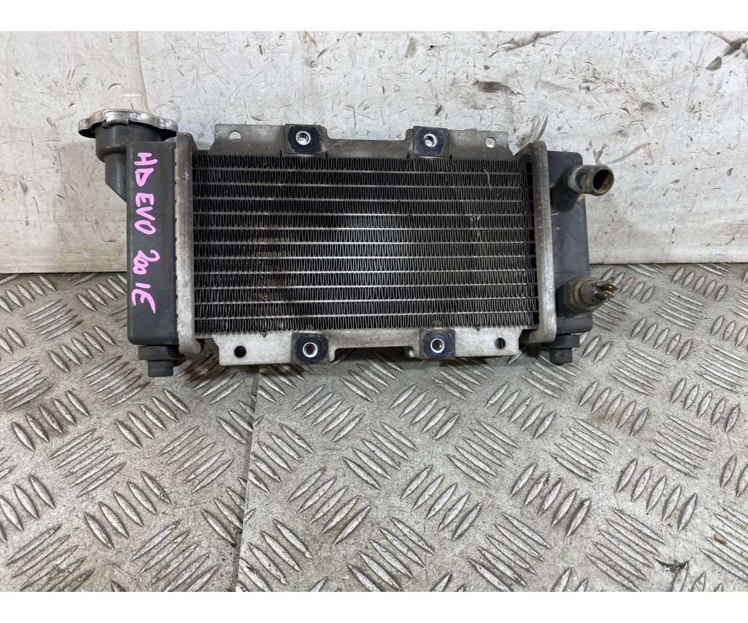 Radiatore Sym HD EVO 200 dal 2011 al 2016  1762160934388