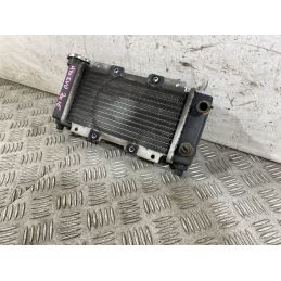 Radiatore Sym HD EVO 200 dal 2011 al 2016  1762160934388