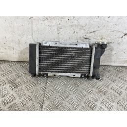 Radiatore Sym HD EVO 200 dal 2011 al 2016  1762160934388