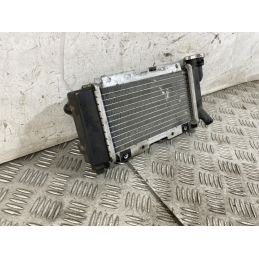 Radiatore Sym HD EVO 200 dal 2011 al 2016  1762160934388