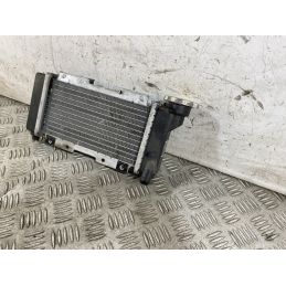 Radiatore Sym HD EVO 200 dal 2011 al 2016  1762160934388