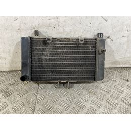 Radiatore Honda CB 500 Dal 1993 al 2004  1762168197068