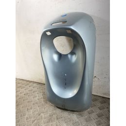 Carena Scudo Anteriore Piaggio Free 50 Dal 1992 al 2003  1762419047098