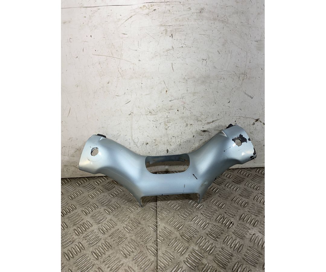 Carena Portastrumentazione Piaggio Free 50 Dal 1992 al 2003  1762419882415